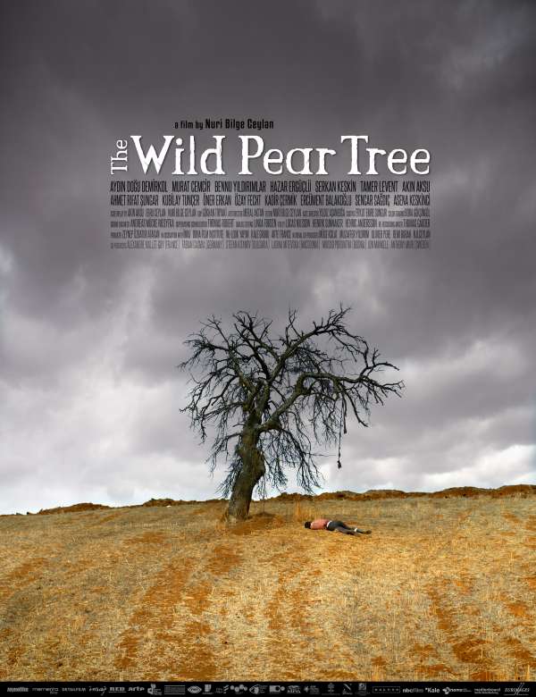 The Wild Pear Tree