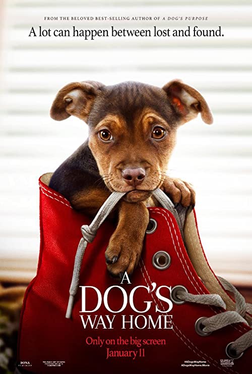 دانلود فیلم A Dogs Way Home 2019 با زیرنویس فارسی چسبیده