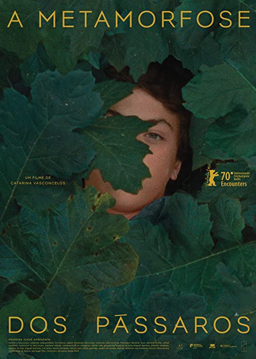 دانلود فیلم The Metamorphosis of Birds 2020 با زیرنویس فارسی چسبیده