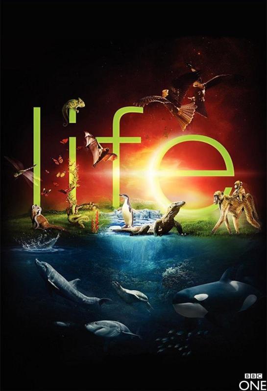 دانلود مستند Life با زیرنویس فارسی چسبیده