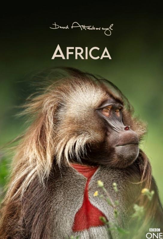 دانلود مستند Africa با زیرنویس فارسی چسبیده