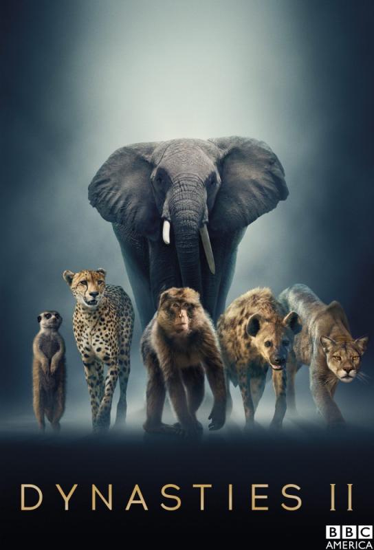 دانلود مستند Dynasties II با زیرنویس فارسی چسبیده
