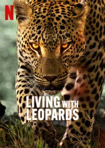 دانلود مستند Living with Leopards 2024 با زیرنویس فارسی چسبیده