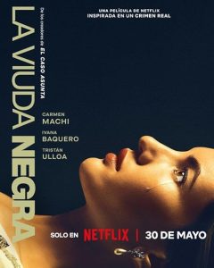 دانلود فیلم A Widow's Game 2025 با زیرنویس فارسی چسبیده