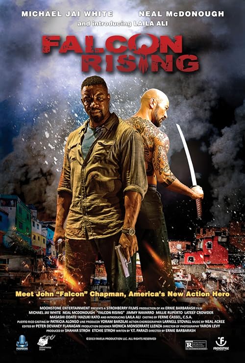 دانلود فیلم Falcon Rising 2014 با زیرنویس فارسی چسبیده