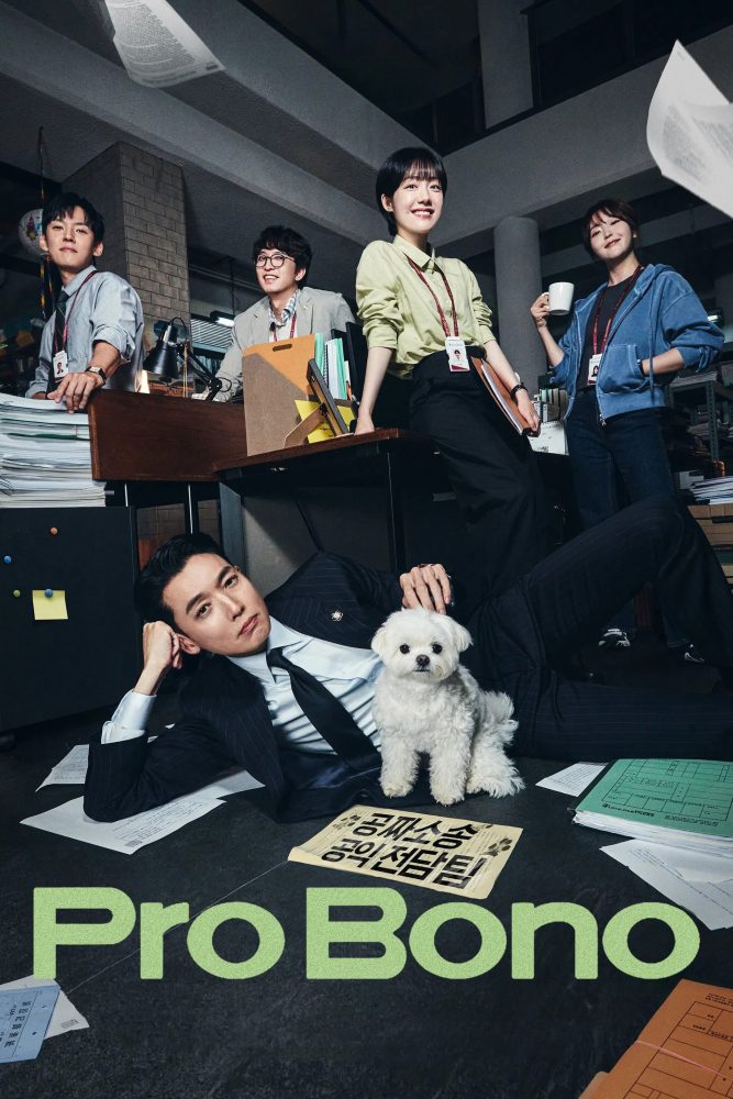 دانلود سریال Pro Bono با زیرنویس فارسی چسبیده